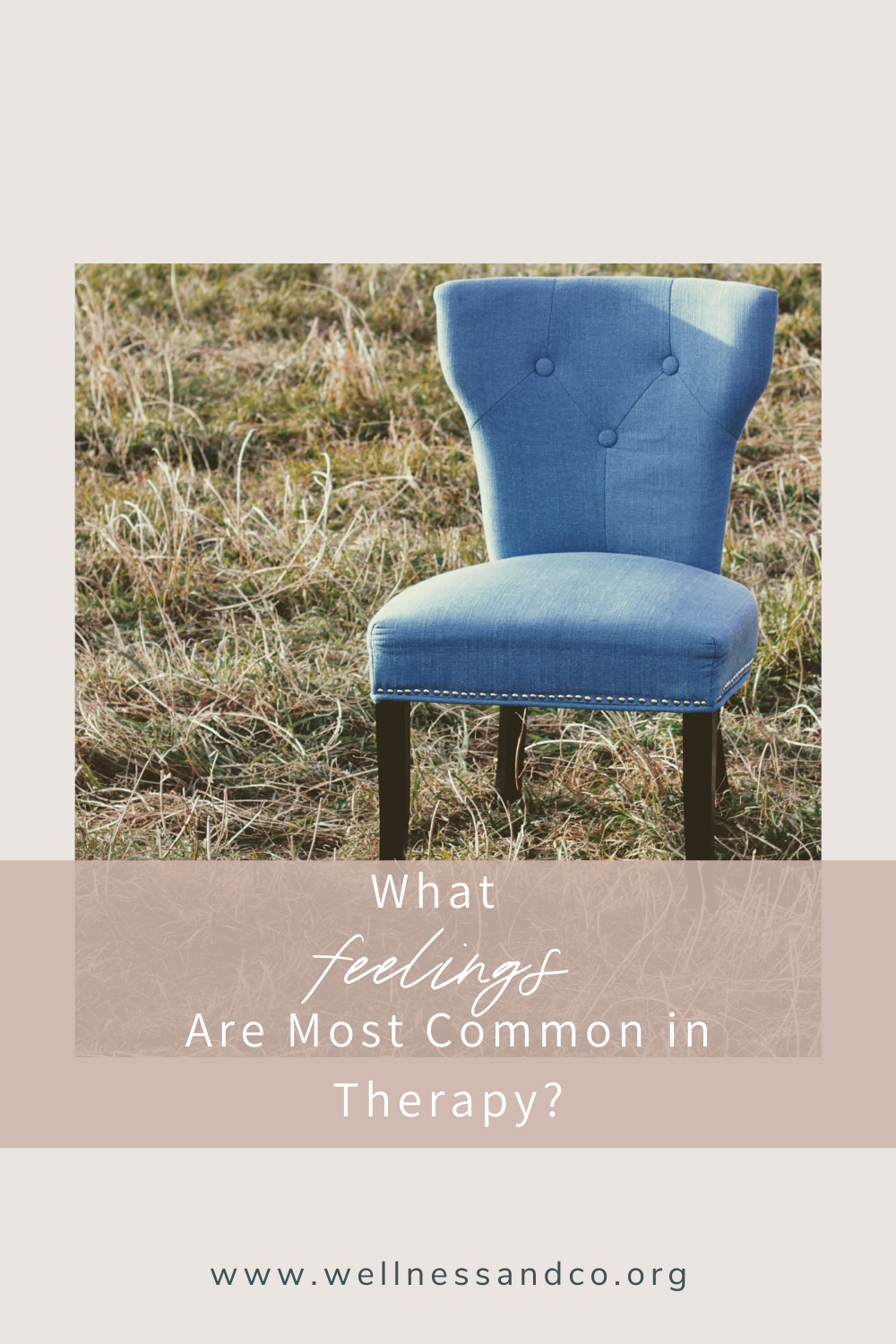 What Feelings Are Most Common in Therapy? | Curious what clients feel when they come to therapy? 