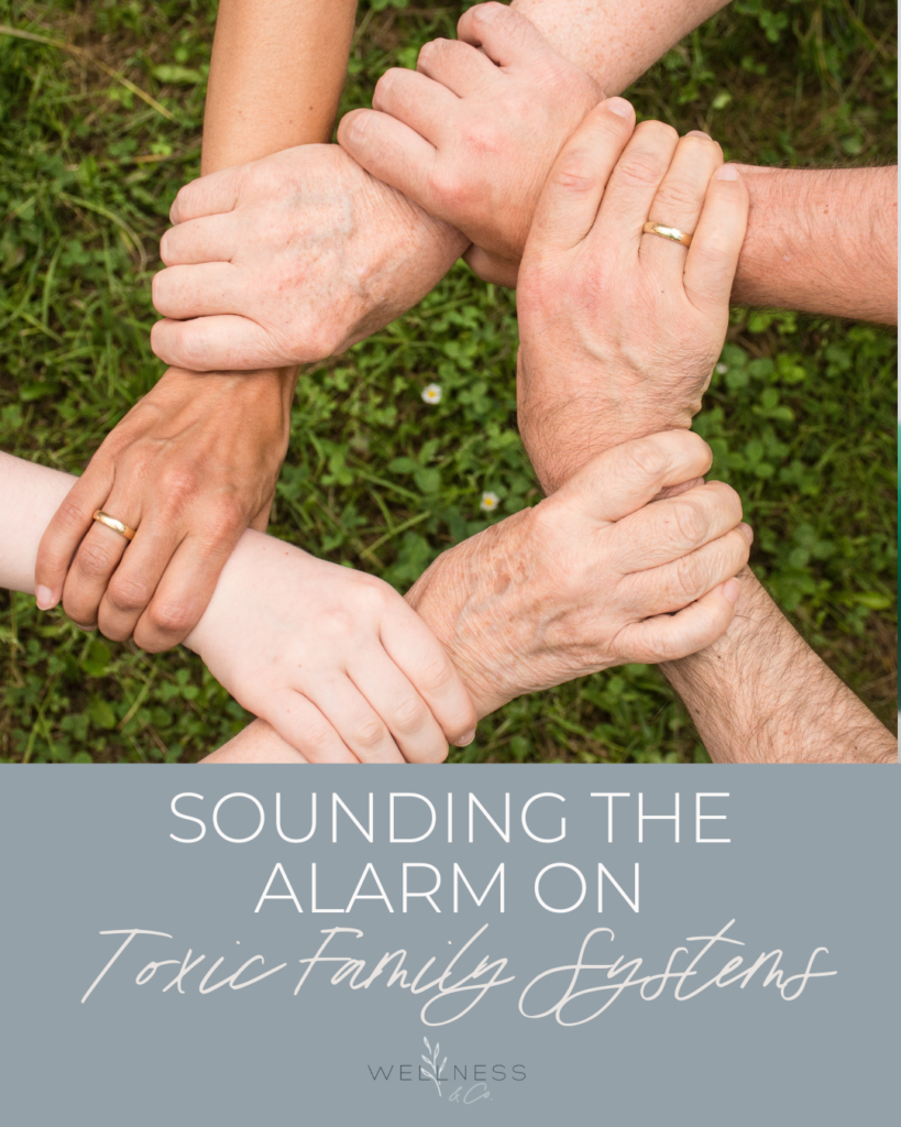Image that says "Sounding the Alarm on Toxic Family Systems" and shows interlocking hands.