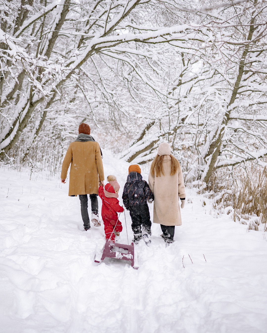 Photo of a family walking away from the camera in snowy woods.