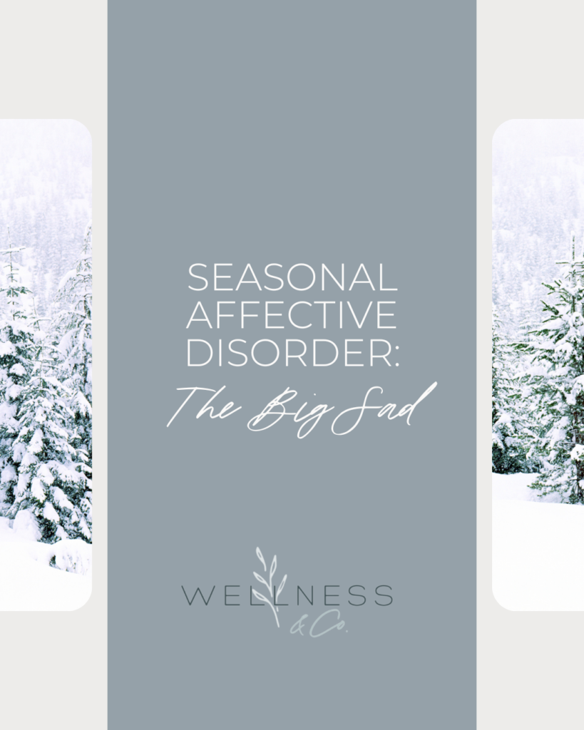 Image with snow-covered trees and text that says "Seasonal Affective Disorder: The Big SAD"